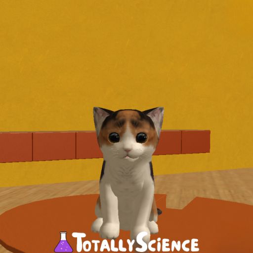 Cat Simulator Play Unblocked