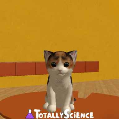 FreezeNova Cat Simulator